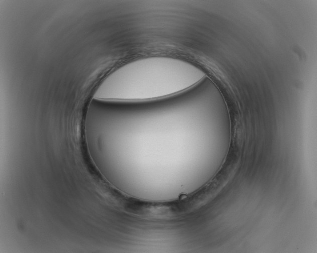 X0000113550501200909181002