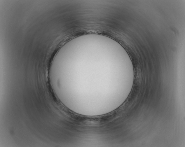 X0000113550502200909181002