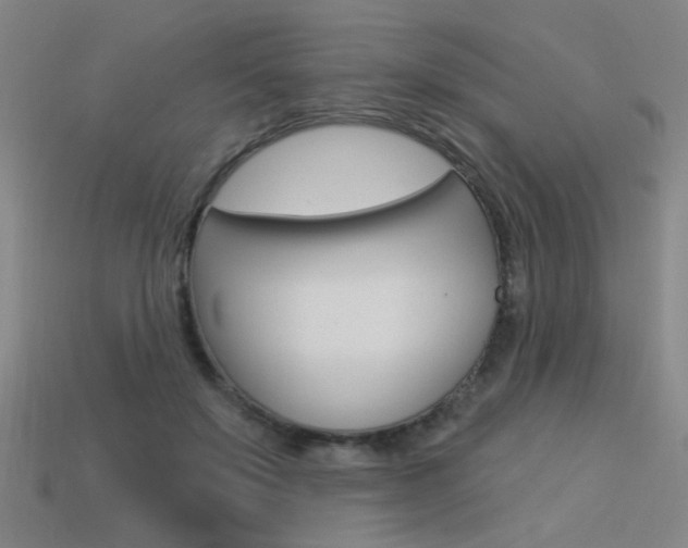 X0000113550503200909181002