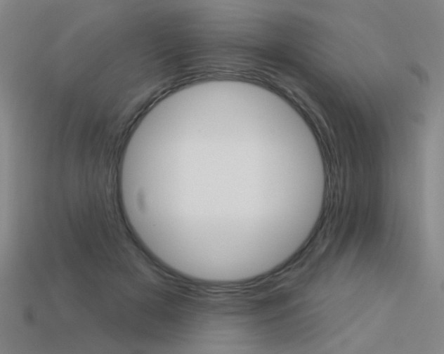 X0000113550505200909181002