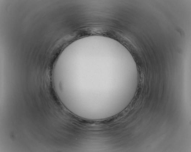 X0000113550506200909181002