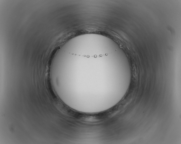 X0000113550507200909181002