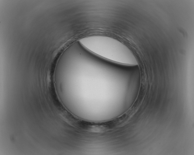 X0000113550508200909181002