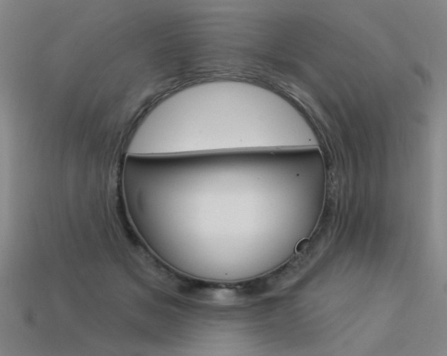 X0000113550509200909181002
