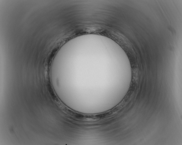 X0000113550510200909181002