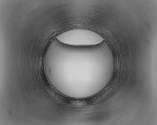 X0000113550511200909181002