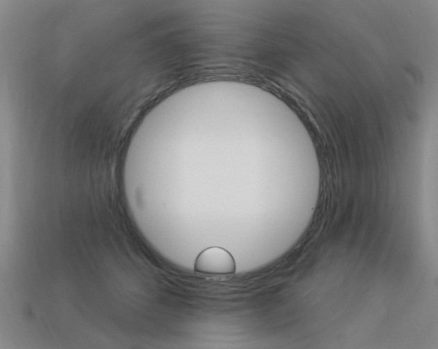 X0000113550512200909181002