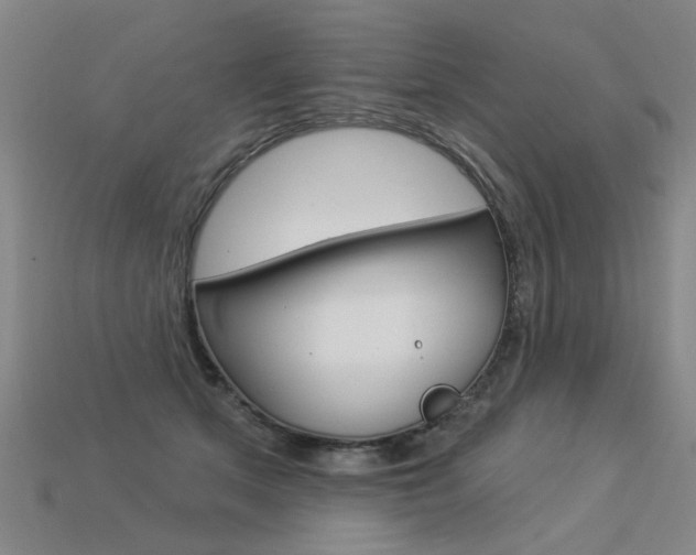 X0000113550513200909181002