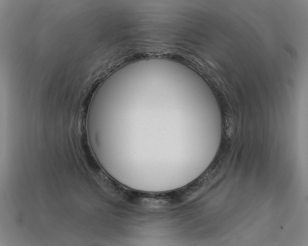 X0000113550515200909181002