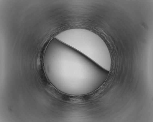 X0000113550516200909181002