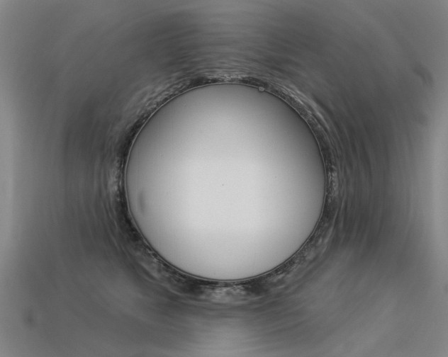X0000113550517200909181002