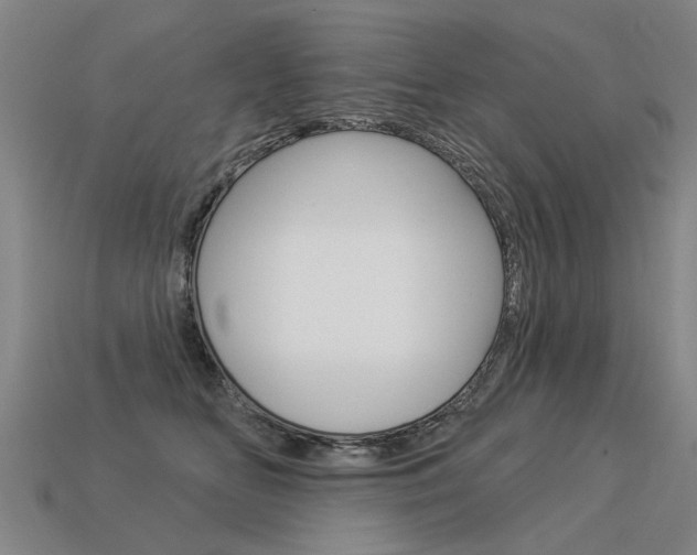 X0000113550518200909181002