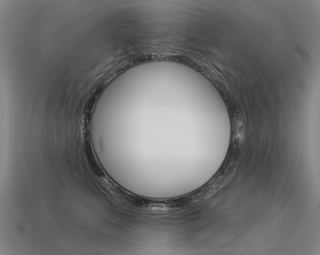 X0000113550519200909181002