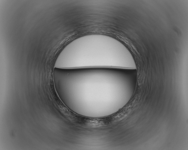 X0000113550521200909181002