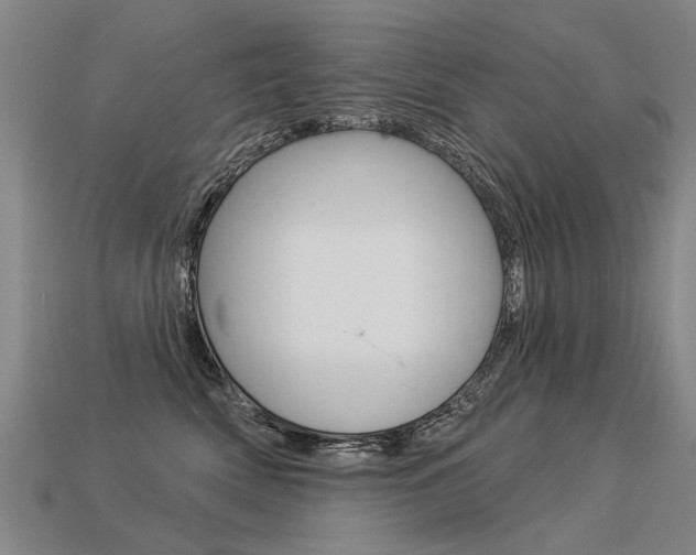 X0000113550522200909181002