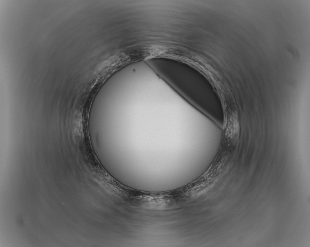 X0000113550524200909181002