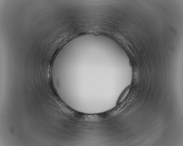 X0000113550525200909181002