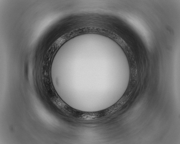 X0000113550526200909181002