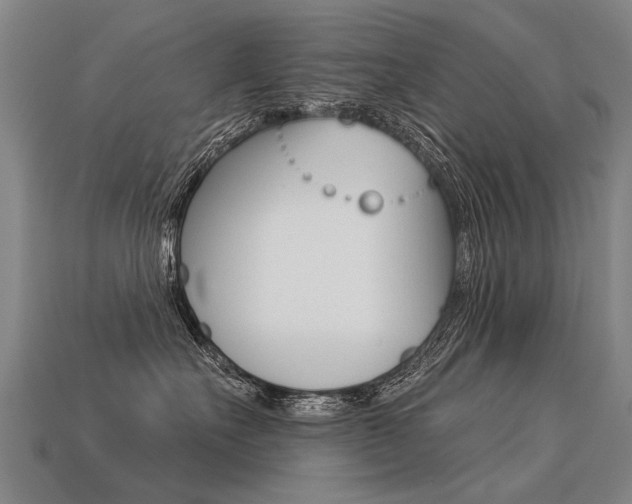 X0000113550527200909181002