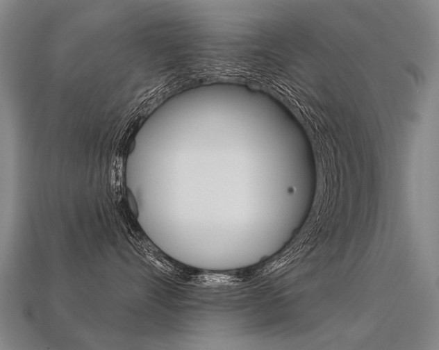 X0000113550528200909181002