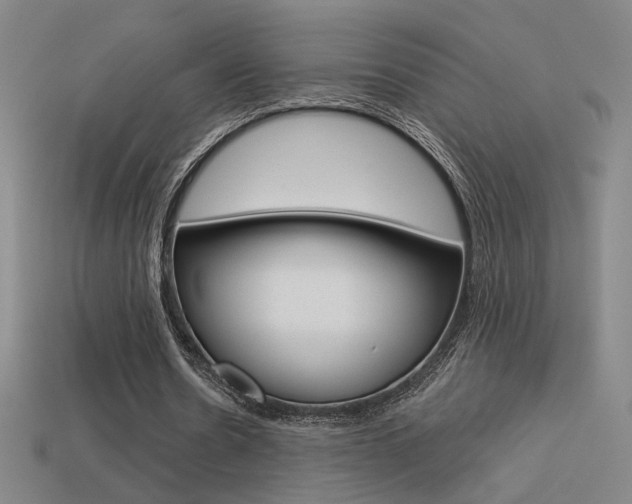 X0000113550530200909181001