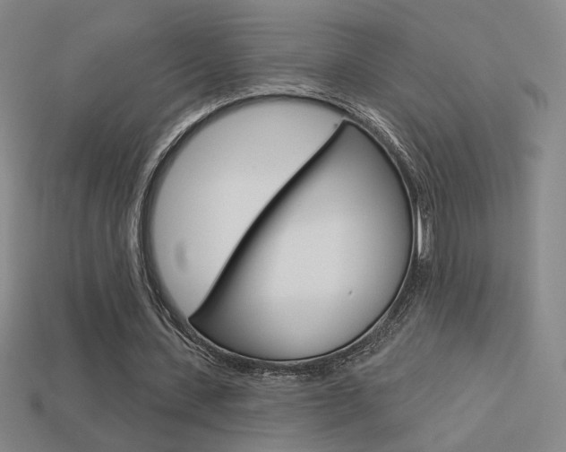 X0000113550531200909181001