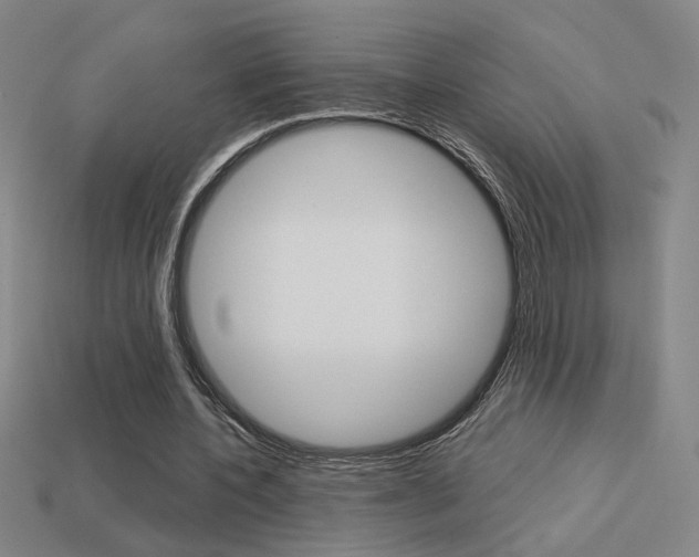 X0000113550532200909181001