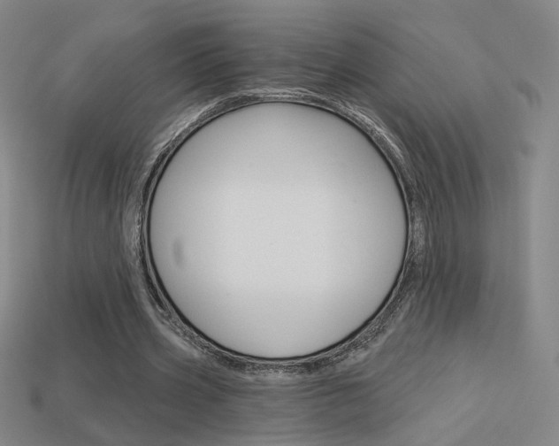 X0000113550533200909181001
