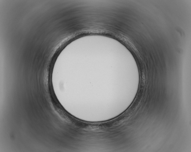 X0000113550534200909181001