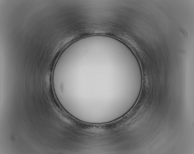 X0000113550537200909181001
