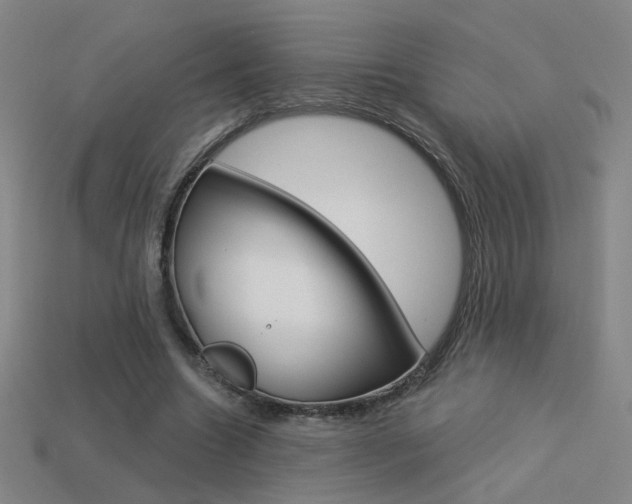 X0000113550538200909181001