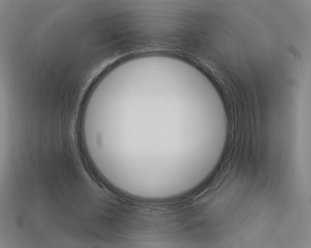X0000113550540200909181001