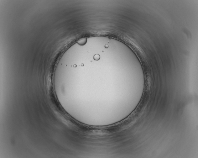X0000113550541200909181001