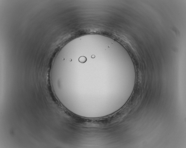X0000113550545200909181001