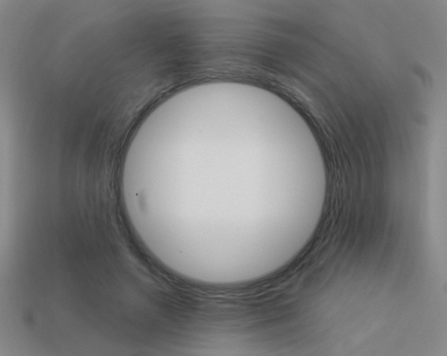 X0000113550546200909181001