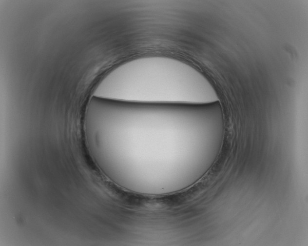 X0000113550547200909181001