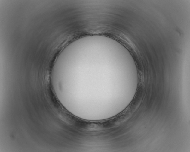 X0000113550549200909181001
