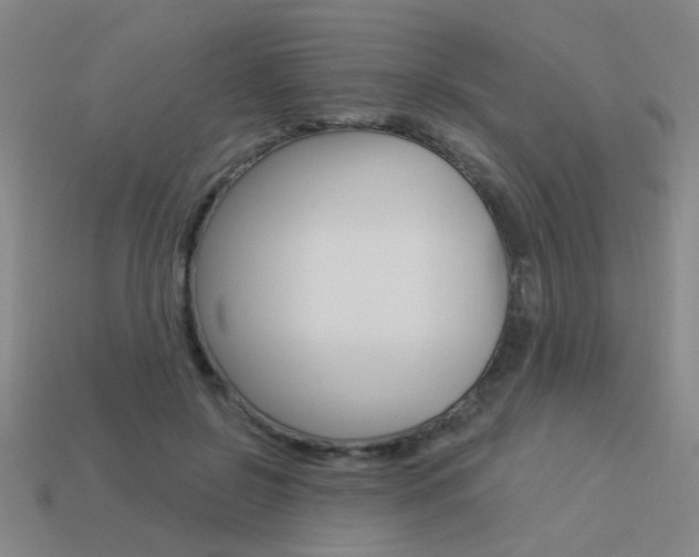 X0000113550550200909181001