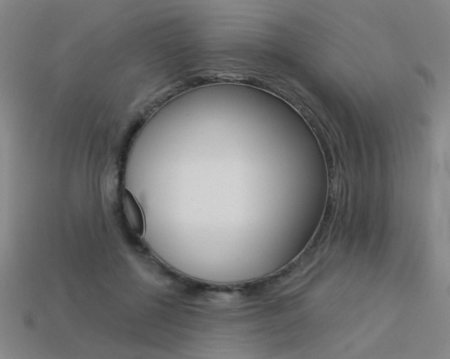 X0000113550552200909181001