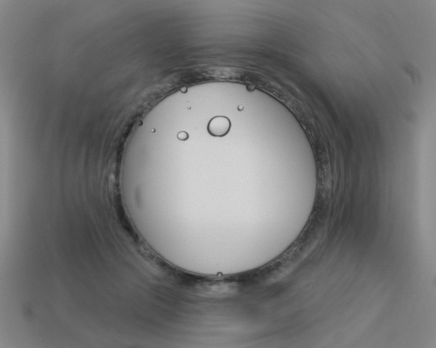 X0000113550553200909181001