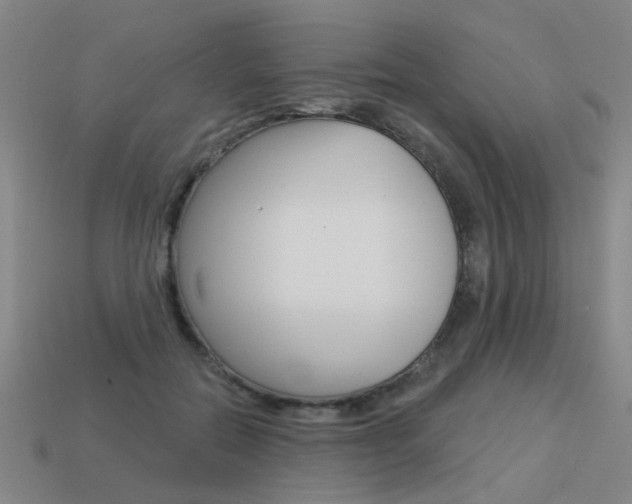 X0000113550554200909181001