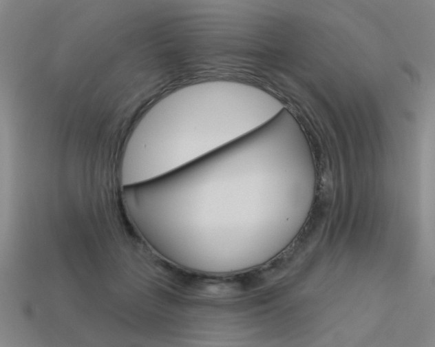 X0000113550555200909181001