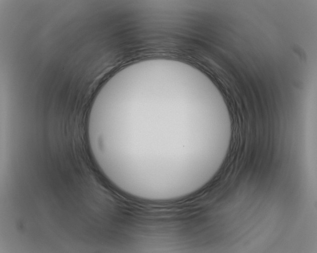 X0000113550556200909181001