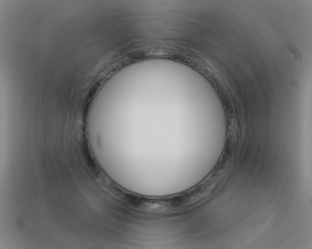 X0000113550557200909181001