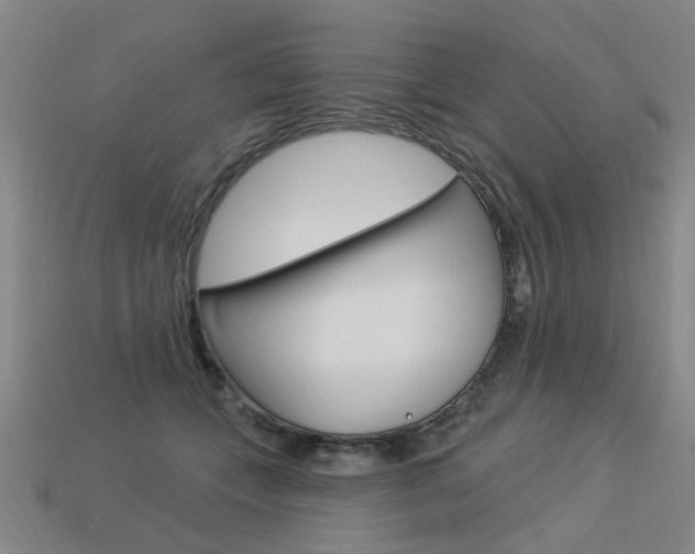 X0000113550559200909181001
