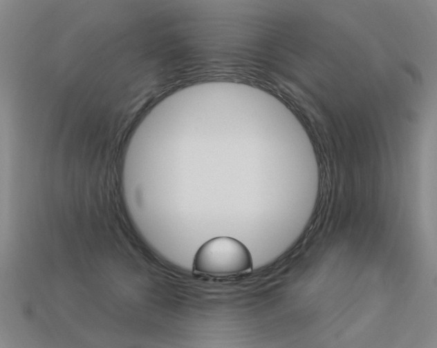 X0000113550560200909181001