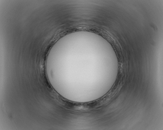 X0000113550561200909181001