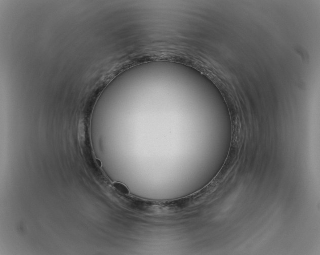 X0000113550562200909181001