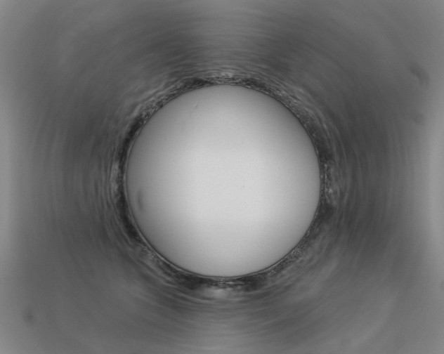 X0000113550563200909181001