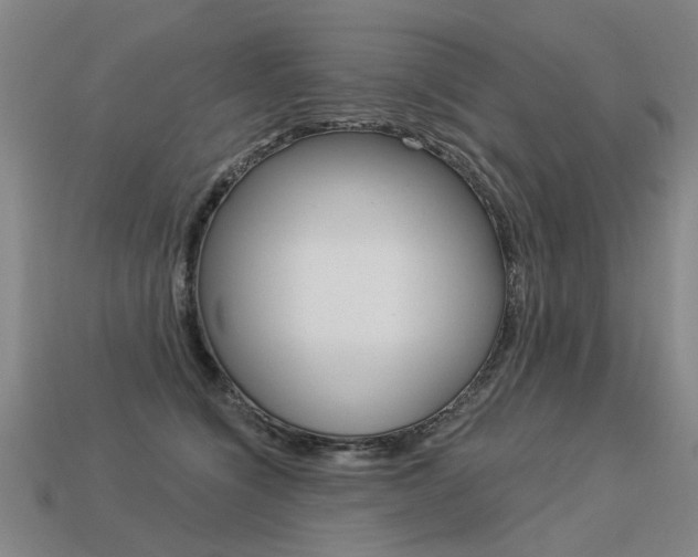 X0000113550564200909181001